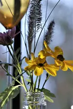 image001.webp
