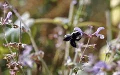image003.webp