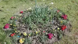 IMG_20200422_161935.webp