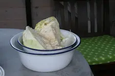 Sauerkraut 0120.webp