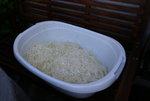 Sauerkraut 0420.JPG