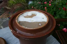 Sauerkraut 0720.webp