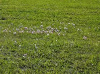 IMG_20200926_161049.webp