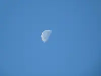 Kopie von P1000666.webp