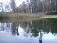 Möhlauer See1.jpg.webp
