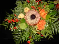 PICT6977.webp