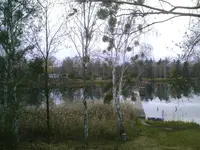 PIC00723.webp