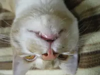 IMGP1148.webp