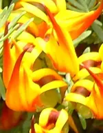 PICT2739.webp