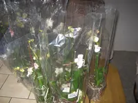 010.webp