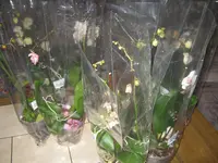 012.webp