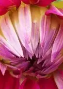 100_2053_600_450.jpg ausscnitt.webp