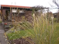 Garten Nov.09 010.webp