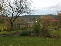 Garten Nov.09 017.webp