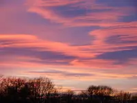 DSC00974.webp