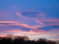 DSC00977.webp