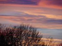 DSC00979.webp
