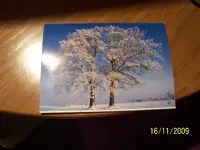 100_2186.webp