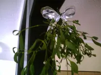 PIC00770.webp