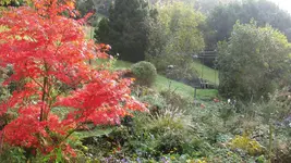 004.webp