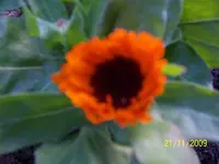 012.webp