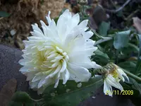 014.webp