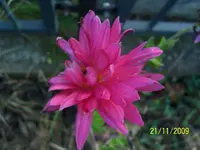 017.webp
