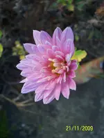 018.webp