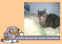 Ich brauch nen Kaffee.webp