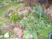 004.webp