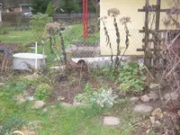 006.webp