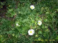 JD500208.webp