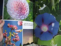 garten 09 004.webp