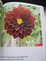 garten 09 005.webp