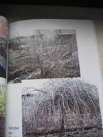 garten 09 007.webp