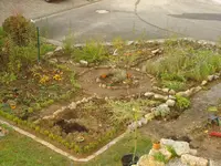 Gartenumgestaltung 5.webp