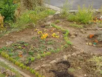 Gartenumgestaltung 8.webp
