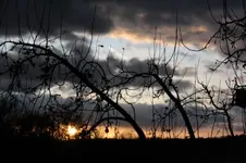 23.11 (3).webp