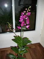 DSCI0049.webp