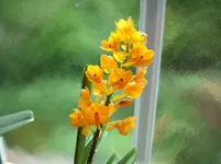 DSCI0016.webp
