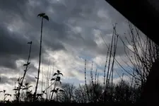 himmel 23.11 (7).webp