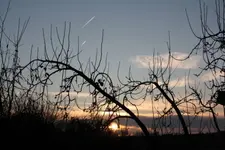 25.11 (11).webp