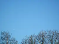 IMG_1419.webp
