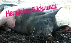 Sau.webp