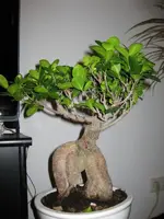 IMG_1266 [Desktop Auflösung].webp