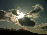 17.webp