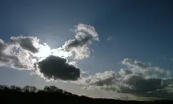 18.webp