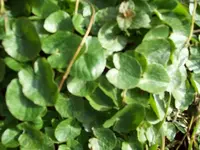 100_1079_800x600.webp