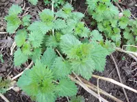 100_1149_800x600.webp