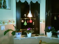 PIC00790.webp